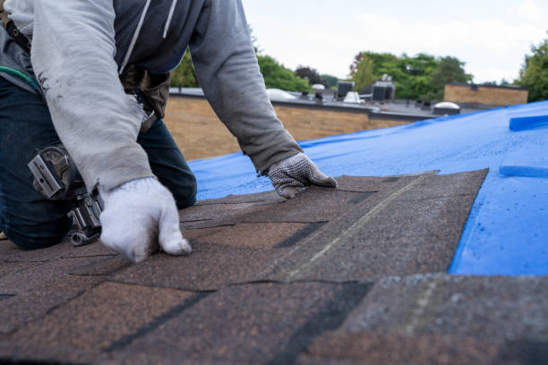 Best Storm Damage Roof Repair  in Rio Dell, CA