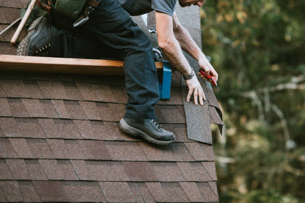 Best Roofing Contractor Near Me  in Rio Dell, CA